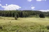149 & 164  Cross Road, Lucaston, Tas 7109-Image
