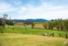 149 Eurobodalla Road, Bodalla, NSW 2545-Image