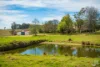 149 Eurobodalla Road, Bodalla, NSW 2545-Image