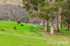 149 Glenbervie Road, Dover, Tas 7117-Image