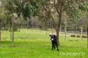 149 Glenbervie Road, Dover, Tas 7117-Image