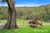 149 Glenbervie Road, Dover, Tas 7117-Image