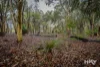 149 Leschenaultia Drive, Chittering, WA 6084-Image