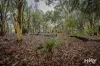 149 Leschenaultia Drive, Chittering, WA 6084-Image