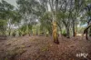 149 Leschenaultia Drive, Chittering, WA 6084-Image