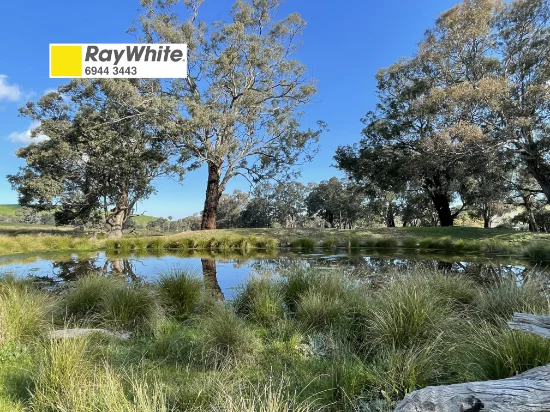 149 Long Tunnel Road, Gundagai, NSW 2722