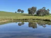 149 Long Tunnel Road, Gundagai, NSW 2722-Image