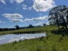 149 Long Tunnel Road, Gundagai, NSW 2722-Image