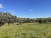 149 Long Tunnel Road, Gundagai, NSW 2722-Image
