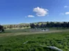 149 Long Tunnel Road, Gundagai, NSW 2722-Image