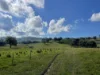 149 Long Tunnel Road, Gundagai, NSW 2722-Image