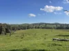 149 Long Tunnel Road, Gundagai, NSW 2722-Image