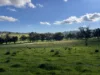 149 Long Tunnel Road, Gundagai, NSW 2722-Image