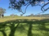 149 Long Tunnel Road, Gundagai, NSW 2722-Image