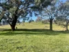 149 Long Tunnel Road, Gundagai, NSW 2722-Image