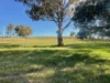 149 Long Tunnel Road, Gundagai, NSW 2722-Image