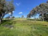 149 Long Tunnel Road, Gundagai, NSW 2722-Image