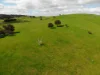 149 Long Tunnel Road, Gundagai, NSW 2722-Image