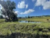 149 Long Tunnel Road, Gundagai, NSW 2722-Image