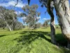 149 Long Tunnel Road, Gundagai, NSW 2722-Image