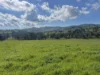 149 Long Tunnel Road, Gundagai, NSW 2722-Image