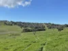 149 Long Tunnel Road, Gundagai, NSW 2722-Image