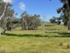 149 Long Tunnel Road, Gundagai, NSW 2722-Image