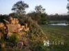 149 Myrtle Creek Road, Axe Creek, Vic 3551-Image