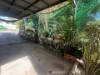 149 Part Street, Berserker, Qld 4701-Image