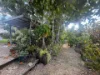 149 Part Street, Berserker, Qld 4701-Image