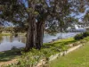 149 River Street, South Murwillumbah, NSW 2484-Image