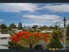 149 Watson Street, Camp Hill, Qld 4152-Image
