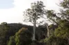 1494 Upper Esk Road, Upper Esk, Tas 7214-Image