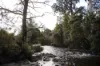 1494 Upper Esk Road, Upper Esk, Tas 7214-Image