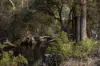 1494 Upper Esk Road, Upper Esk, Tas 7214-Image