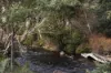 1494 Upper Esk Road, Upper Esk, Tas 7214-Image