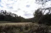 1494 Upper Esk Road, Upper Esk, Tas 7214-Image