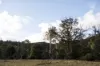 1494 Upper Esk Road, Upper Esk, Tas 7214-Image
