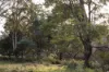 1494 Upper Esk Road, Upper Esk, Tas 7214-Image