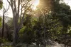 1494 Upper Esk Road, Upper Esk, Tas 7214-Image