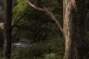 1494 Upper Esk Road, Upper Esk, Tas 7214-Image