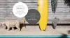 14a/2a Regatta Boulevard, Wurtulla, Qld 4575-Image