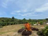 14a Greenhills Road, Kuranda QLD 4881-Image