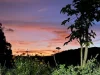 14a Greenhills Road, Kuranda QLD 4881-Image