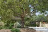 14A Perdita Way, Coolbellup, WA 6163-Image