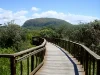 14A Wave Crescent, Mount Coolum, Qld 4573-Image