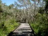 14A Wave Crescent, Mount Coolum, Qld 4573-Image