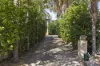 14B Cornelian Street, Scarborough, WA 6019-Image