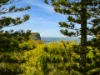 15/13 Mudjimba Esplanade, Mudjimba, Qld 4564-Image