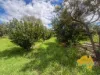 15-17 LEICHHARDT STREET, Mundubbera, Qld 4626-Image